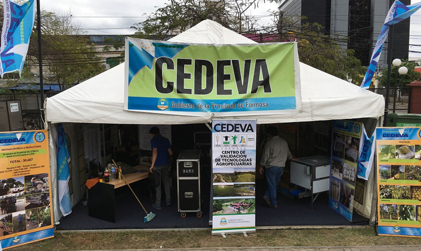 La variedad de frutas validadas fue expuesta por Cedeva en Frutar 2019