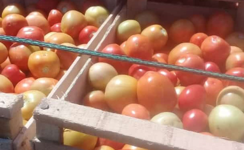 Paipperos de Laguna Naineck continúan aportando al Plan NUTRIR