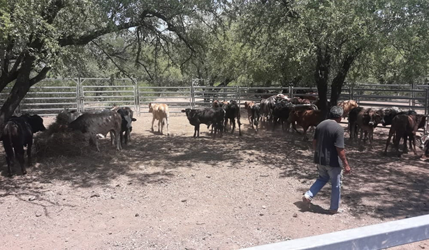 “Solamente un hombre nacido de un pueblo como Insfrán puede interpretar las necesidades de cada rincón” señaló productora