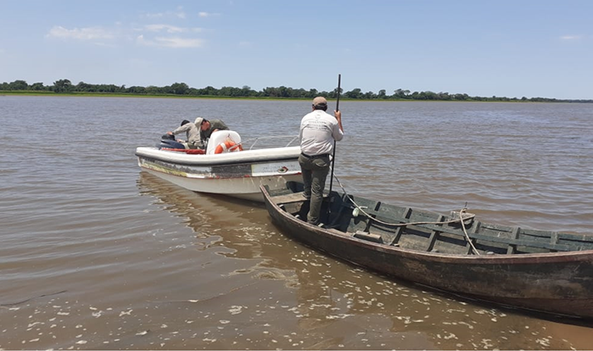 Secuestraron 250 kilos de pescado obtenidos en forma irregular
