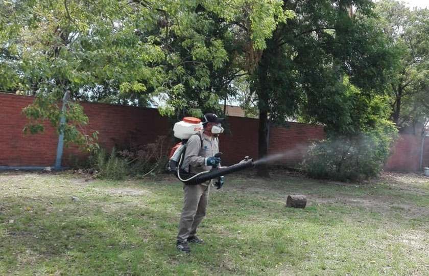 Fumigan contra el vector del dengue en múltiples localidades
