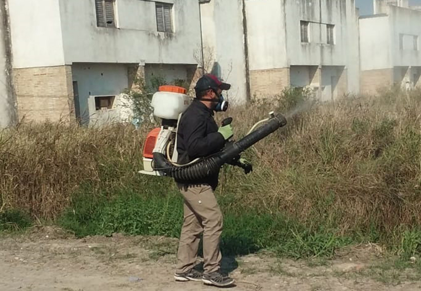 Permanente y amplias labores contra el vector del dengue, zika y chikungunya