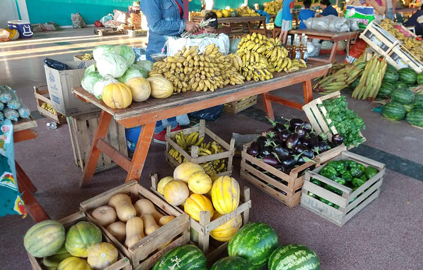 Ofertas navideñas en las ferias francas del PAIPPA