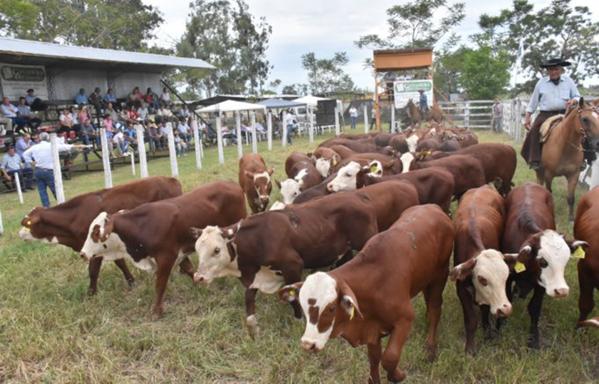 Las Lomitas: Gran remate de fin de año