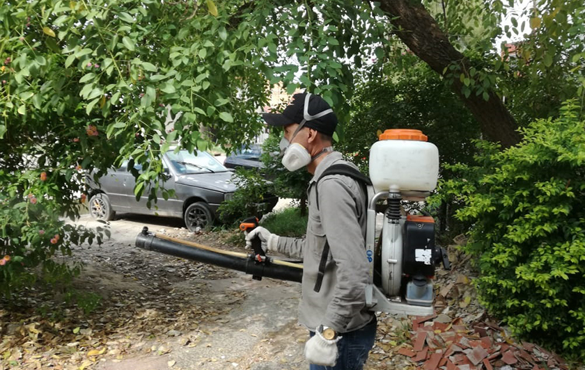 Continúan los operativos preventivos en el interior contra el vector del dengue