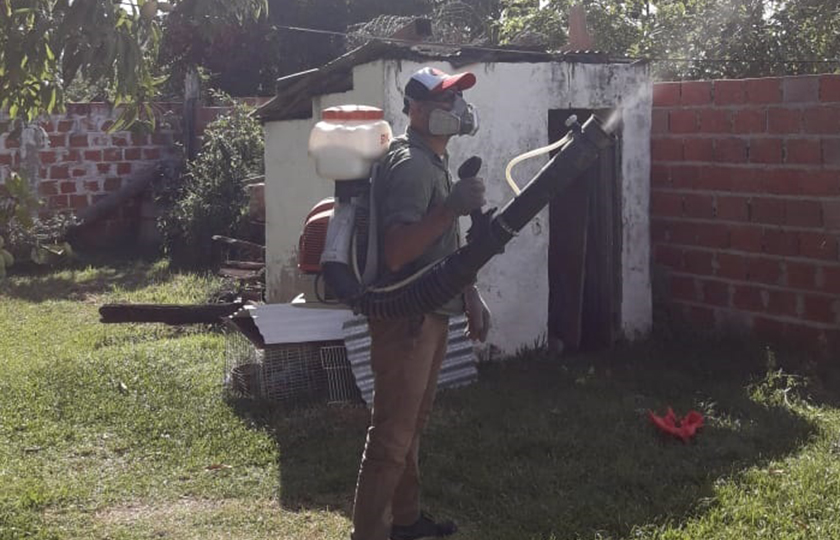 Acciones contra el vector dengue