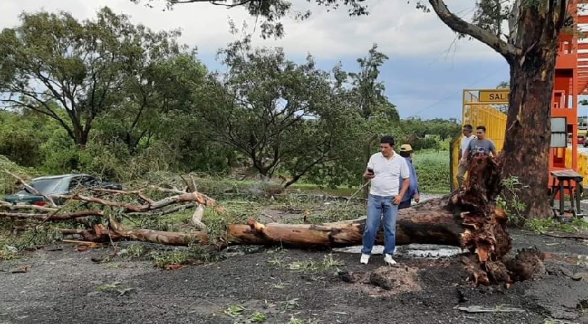Fuerte temporal dejó a su paso severos daños en Clorinda