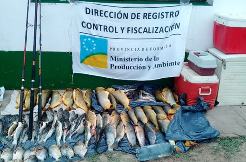 El Gobierno Provincial refuerza control de los Recursos Naturales en el interior provincial