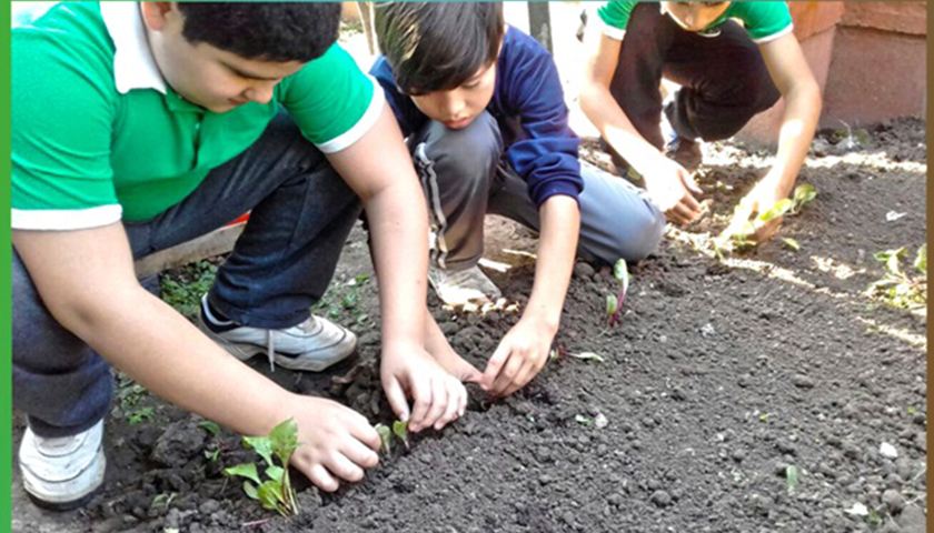Planeamiento Educativo se reunió con directivos del proyecto “Nuestra Huerta Escolar”