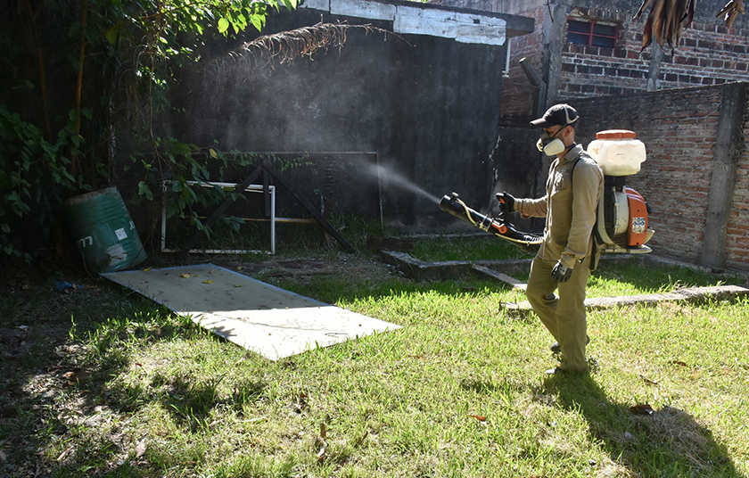 Dengue: habrá “responsabilidades penales” para quienes no dejen entrar a brigada sanitaria
