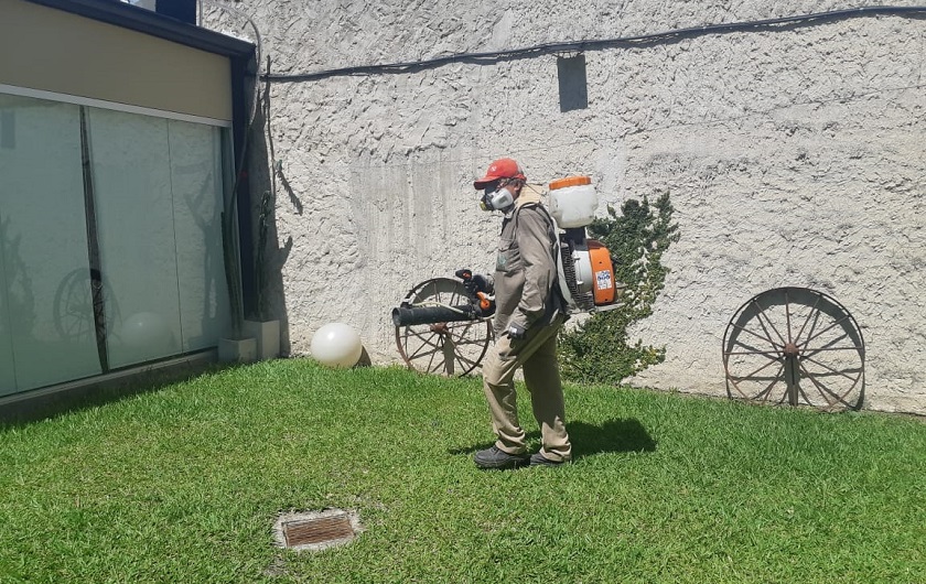 Más trabajos contra el Aedes aegypti en capital