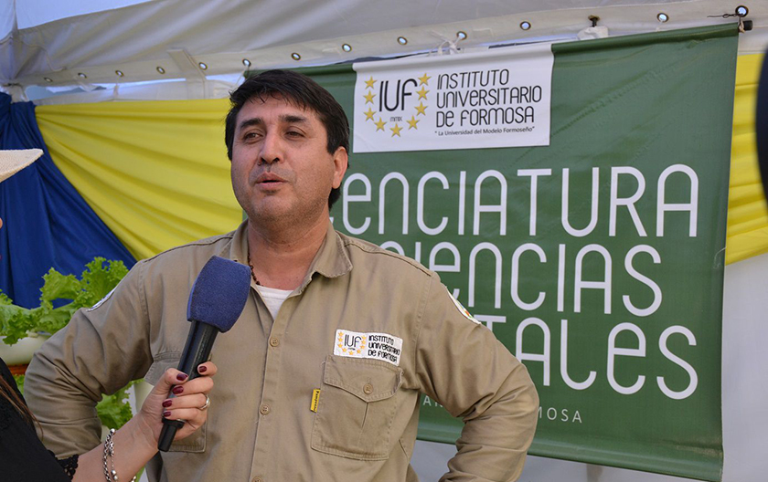 IUF: Inició cosecha de arroz para rotación con pacú