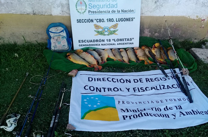 Nuevos procedimientos del Gobierno Provincial en resguardo de los Recursos Naturales