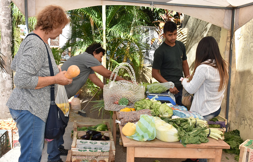 Con variadas ventas, retornó la feria franca del PAIPPA