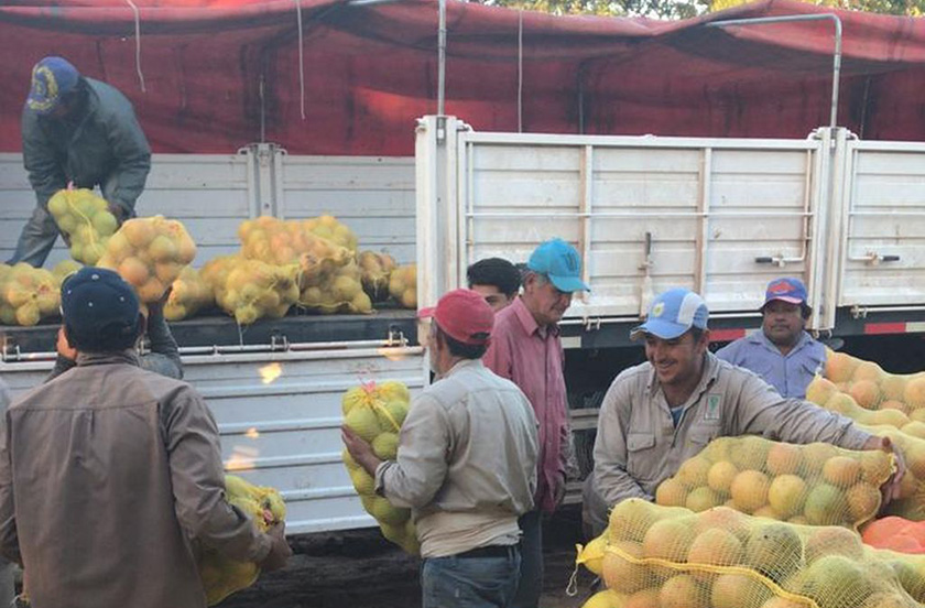 Es constante la entrega de productos de cedeva para beneficiarios del plan Nutrir