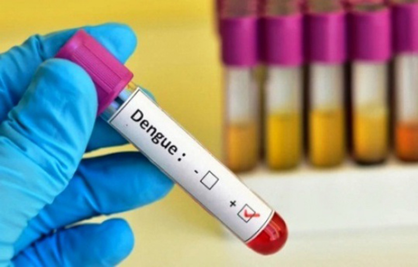 Dengue: 510 casos confirmados en la provincia