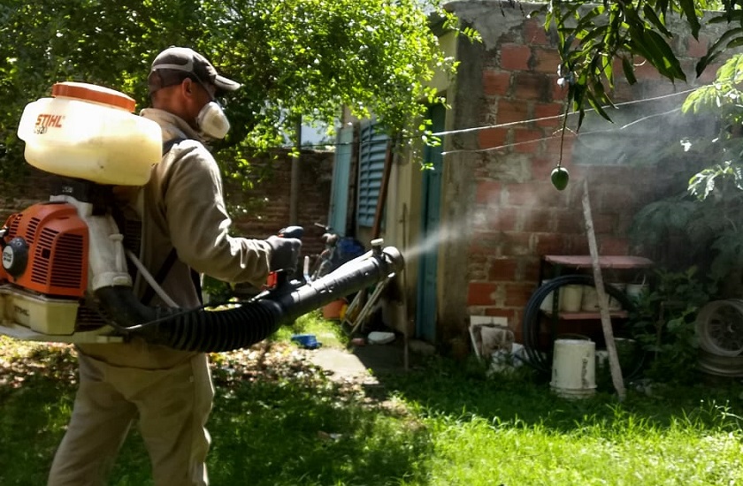 Continúan este martes las tareas de prevención contra el mosquito vector del dengue, zika y chikungunya