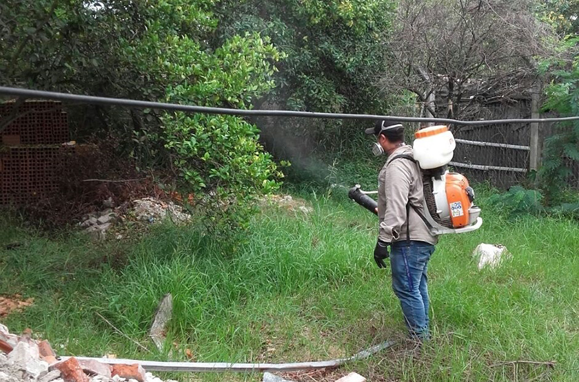 Intensos labores preventivas contra el mosquito vector del Dengue, Zika y Chikungunya