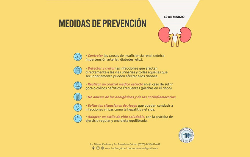 Día Mundial del Riñón: funciones, enfermedades y prevención