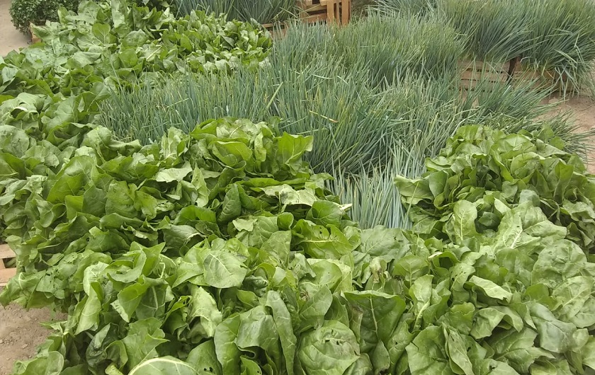 Riacho He Hé: Sin pausas en el envío de productos para el Plan Nutrir