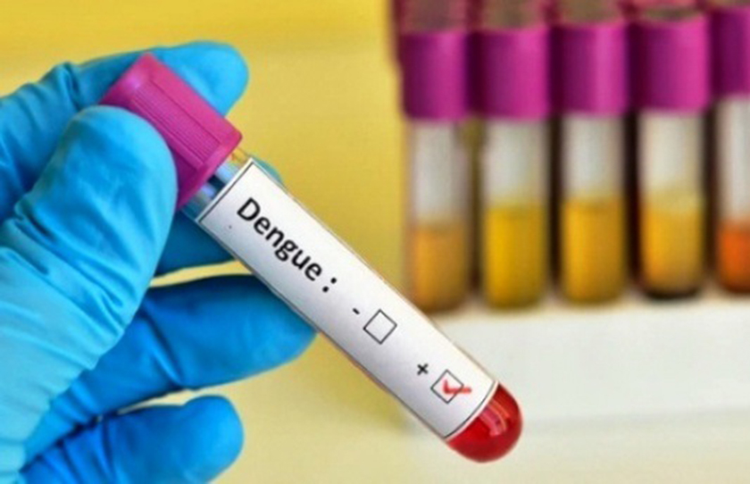 Dengue: el gobierno confirmó 2.342 casos