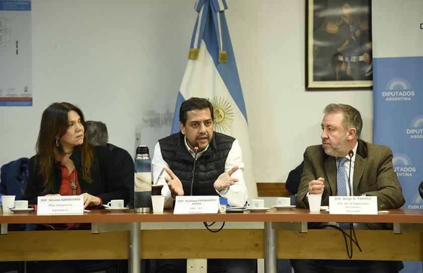 Fernández Patri: “Presentamos un proyecto de ley para prorrogar por tres meses la moratoria para MiPymes”