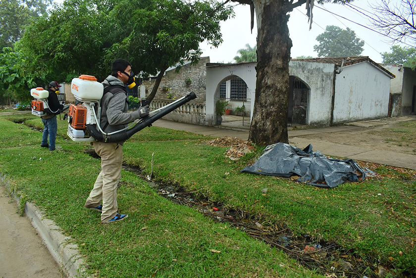 Multiplican acciones para acondicionar y embellecer espacios verdes en la ciudad