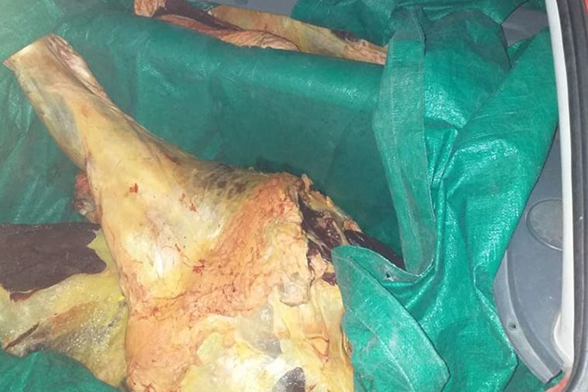 La Policía decomisó carne vacuna que era transportada