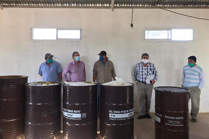 La harina de algarroba se suma a los bolsones Nutrir