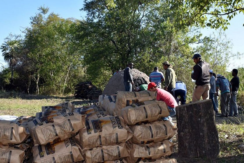 La comuna de Pastoril impulsa la producción de carbón