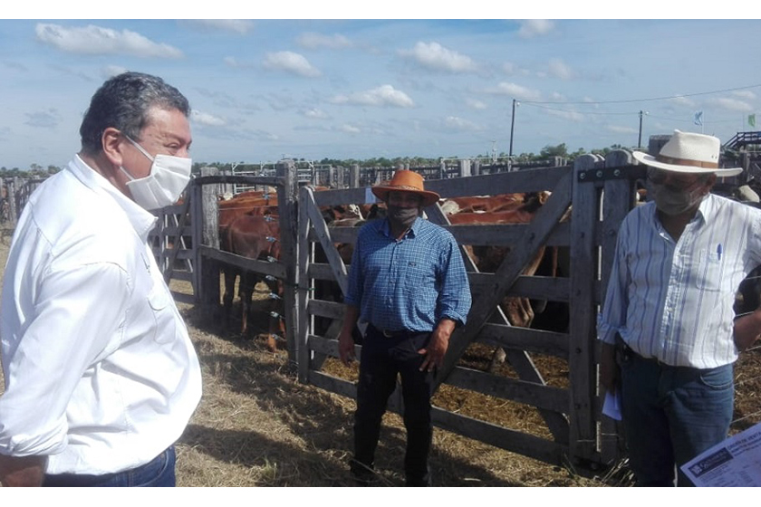 Quintana: “El sector agropecuario y agrícola no dejó de producir”