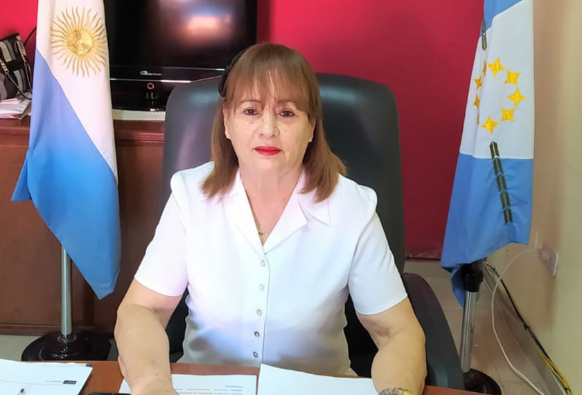 A medios centralistas “les molestan las políticas públicas de Formosa y la capacidad de gestión de Insfrán”