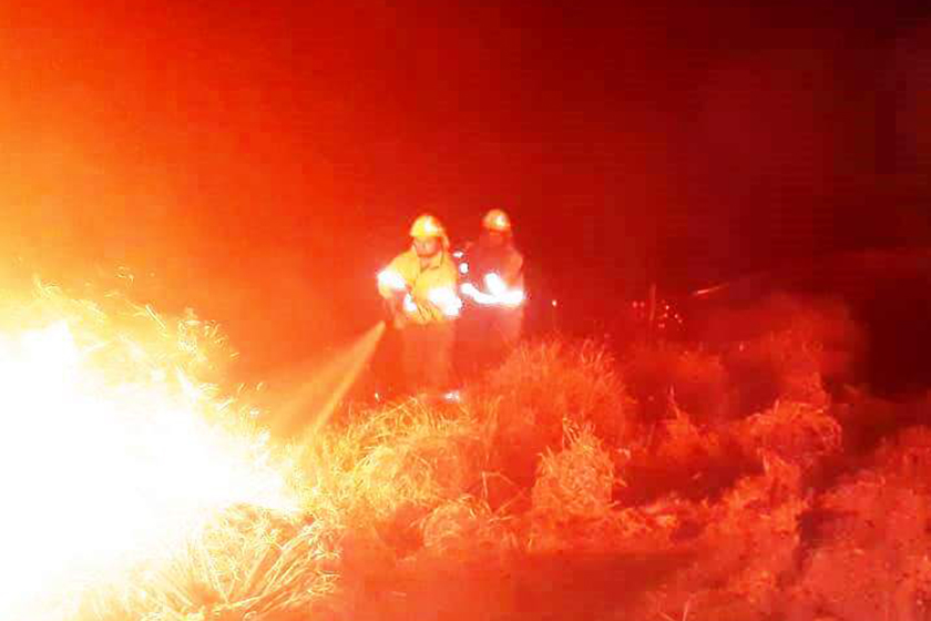 Cuerpo de Bomberos de la Policía intervino en 73 incendios de pastizales en julio