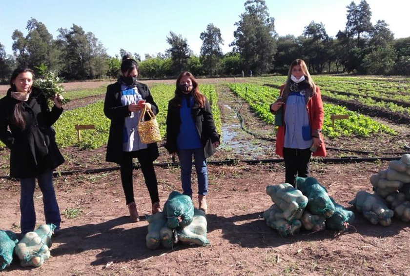Cedeva distribuye productos de huerta para comedores escolares