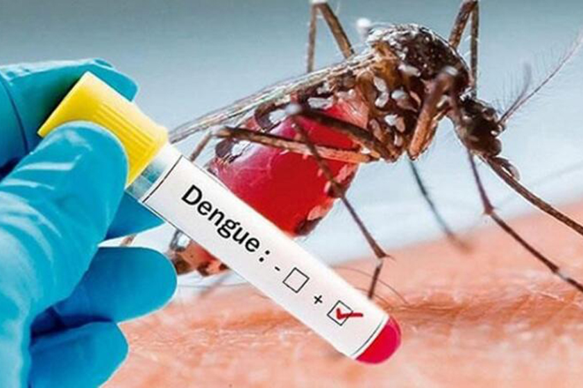 Dengue: en el trabajo conjunto se ven los resultados