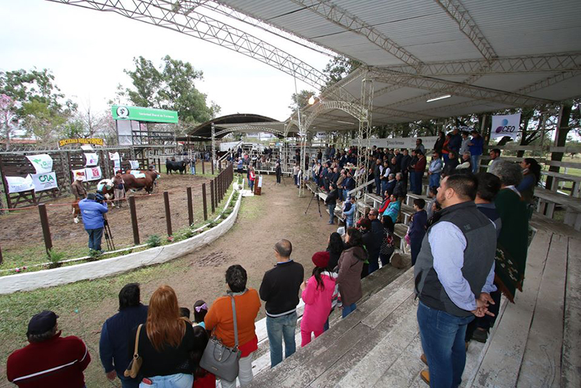 Se suspende la Expo Formosa 2020