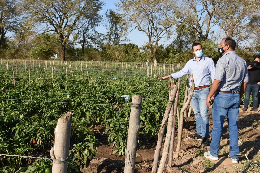 Eber Solís: “En Formosa, cada productor paippero tiene futuro”