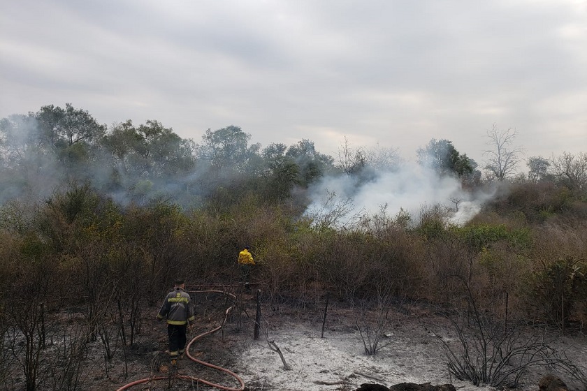Comprometida labor de Bomberos en la prevención de incendios de pastizales