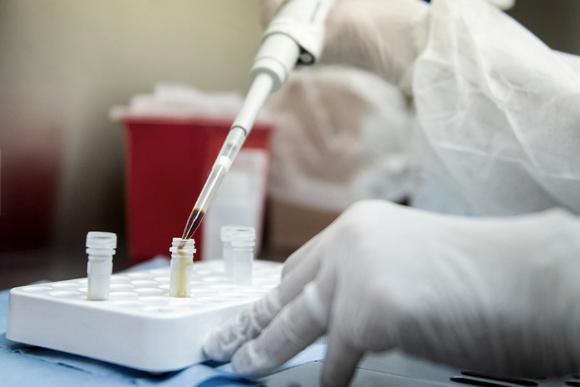 Vacuna contra el Covid-19: Optimismo en laboratorio argentino que producirá las dosis