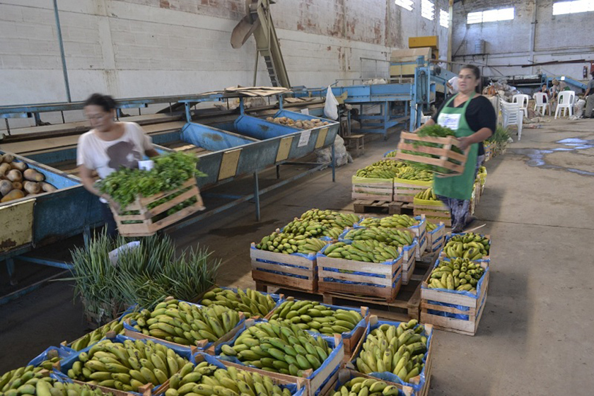 Plan Nutrir “logró reivindicar la mesa familiar, el deseo del gobernador Insfán”