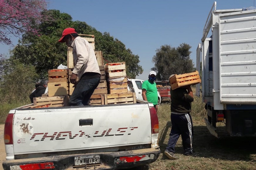 Productores paipperos envían su producción al Programa Nutrir