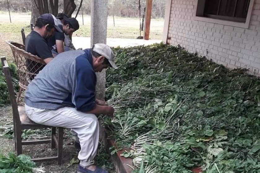 Paipperos de Riacho He Hé superaron los 24 millones de pesos en ventas al Nutrir