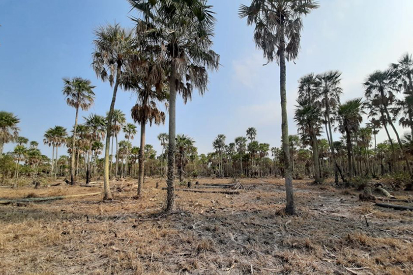 La Nación homologó el estado de emergencia agropecuaria en Formosa