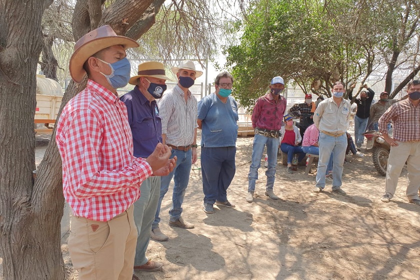 Pequeños productores paipperos protagonizaron histórica venta de animales vacunos en el centro oeste