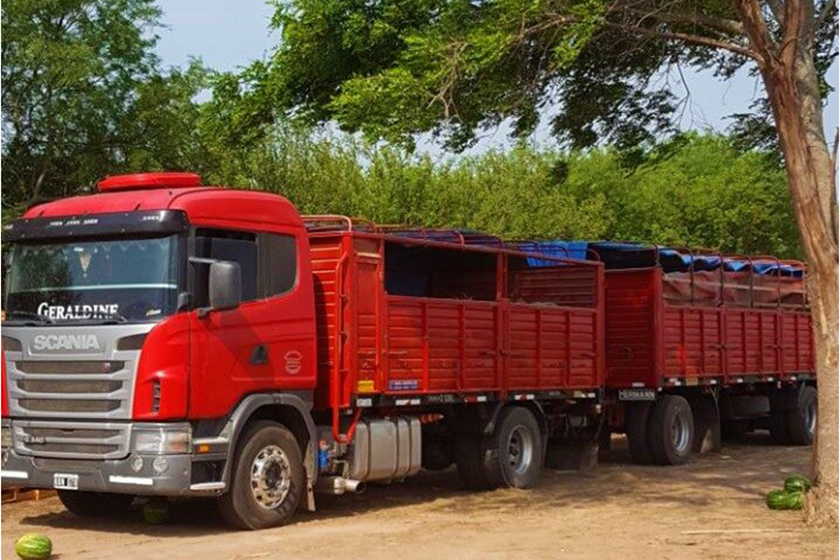 Partió el primer cargamento con primicias de sandías formoseñas hacia los mercados del país