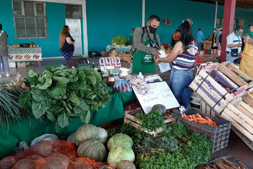 Todo listo para una nueva edición de las ferias paipperas