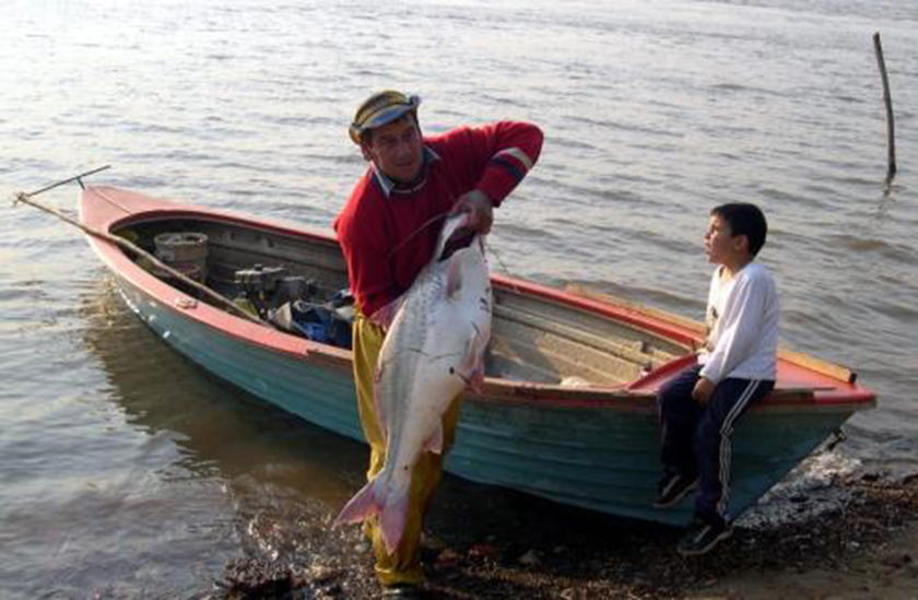 Prorrogan renovaciones de licencias de pesca comercial y títulos de marcas y señales
