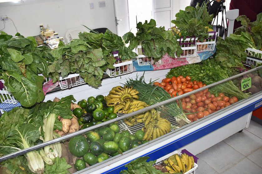 Continúa la asistencia a 17 mil familias formoseñas desde el Plan Nutrir