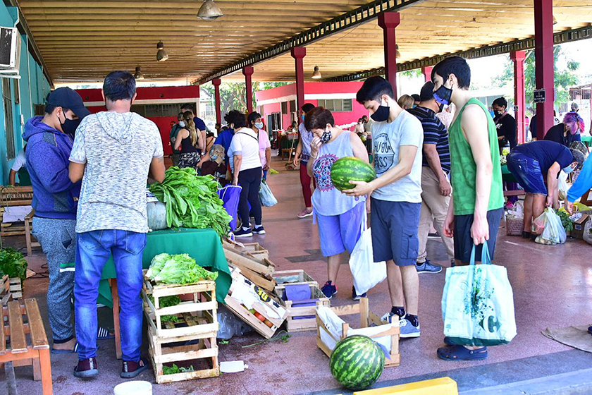Otra exitosa jornada de ferias paipperas