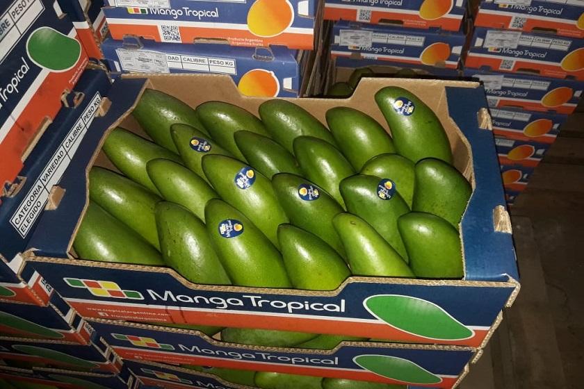 Mangos y frutos tropicales de Naineck rumbo a mercados nacionales